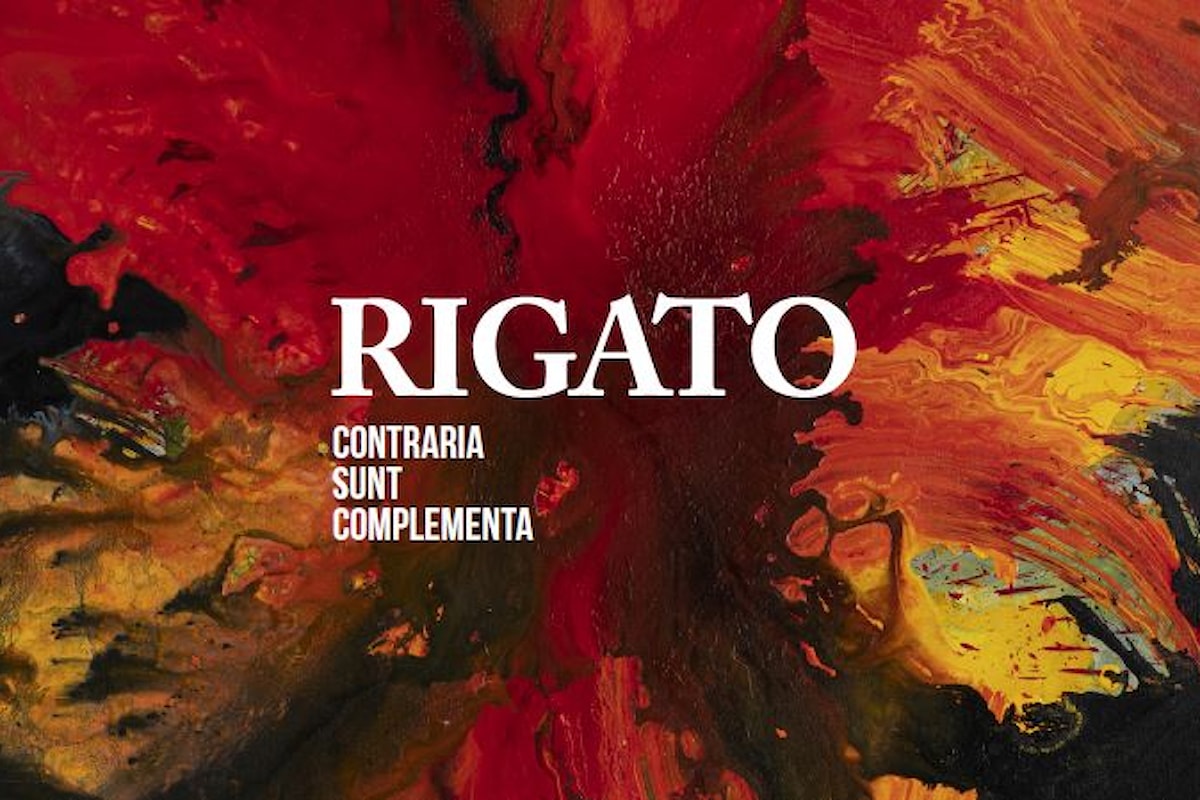 Rigato / Contraria sunt complementa. Da settembre due personali a Vicenza.