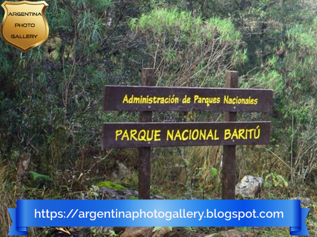 A virtual journey through the national parks of Argentina (#2): Baritú, protected natural area.