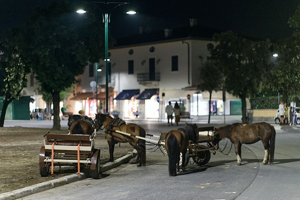A Forte dei Marmi arriva CinemaDaMare. Il più grande raduno internazionale di aspiranti filmmaker per una staffetta di cinema tra produzione, workshop e visione