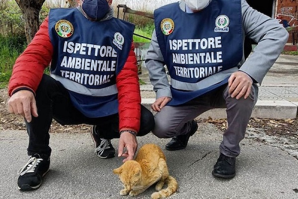 Milazzo (ME) - Ispettore ambientale, ultima settimana per presentare le istanze di partecipazione