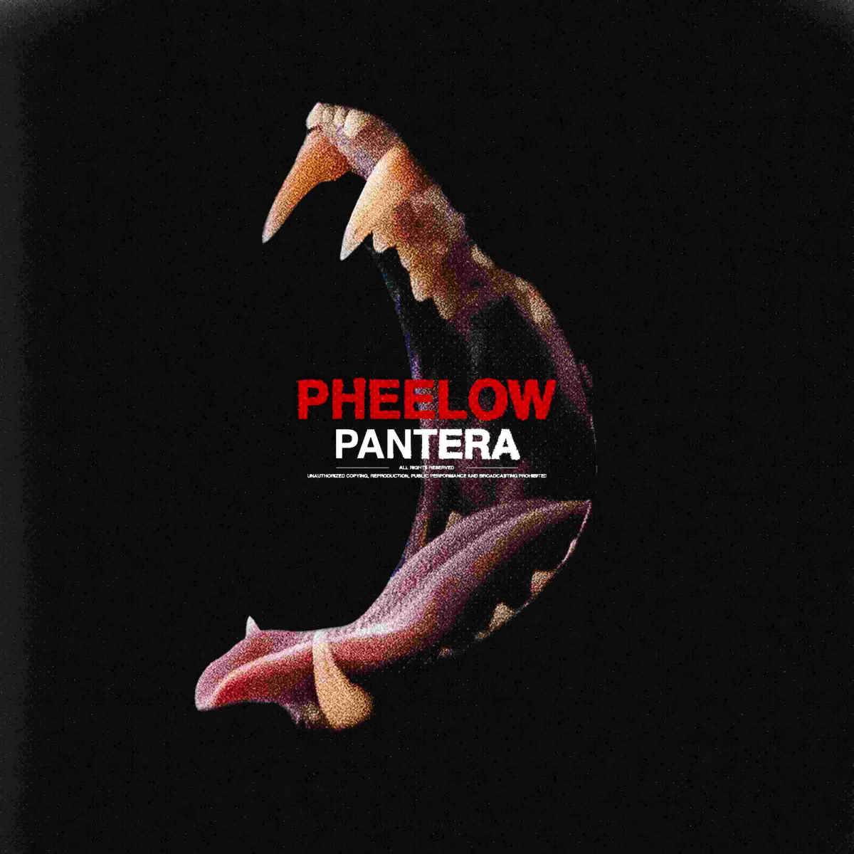 PHEELOW, “Pantera” è il nuovo singolo del giovane cantante e producer romano