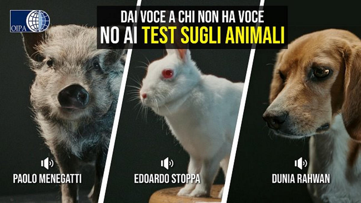 Sperimentazione sugli animali in Europa: in un video ipensieri e le voci degli animali dei laboratori
