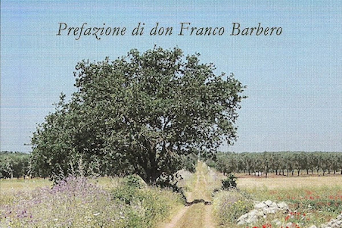 Nicolò D’Ippolito, “In cammino tra fede e omosessualità”, prefazione di don Franco Barbero, Edizioni la Zisa