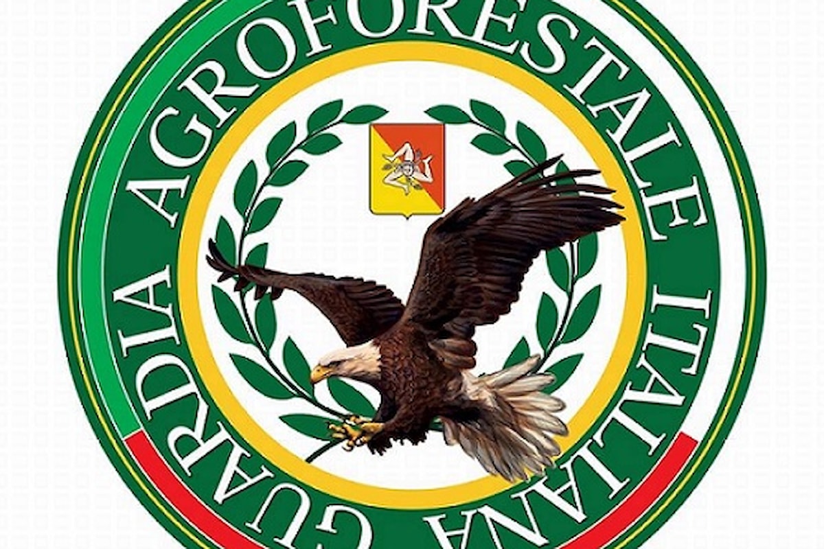 Milazzo (ME) - Sul controllo ambientale accordo con la Guardia Agroforestale