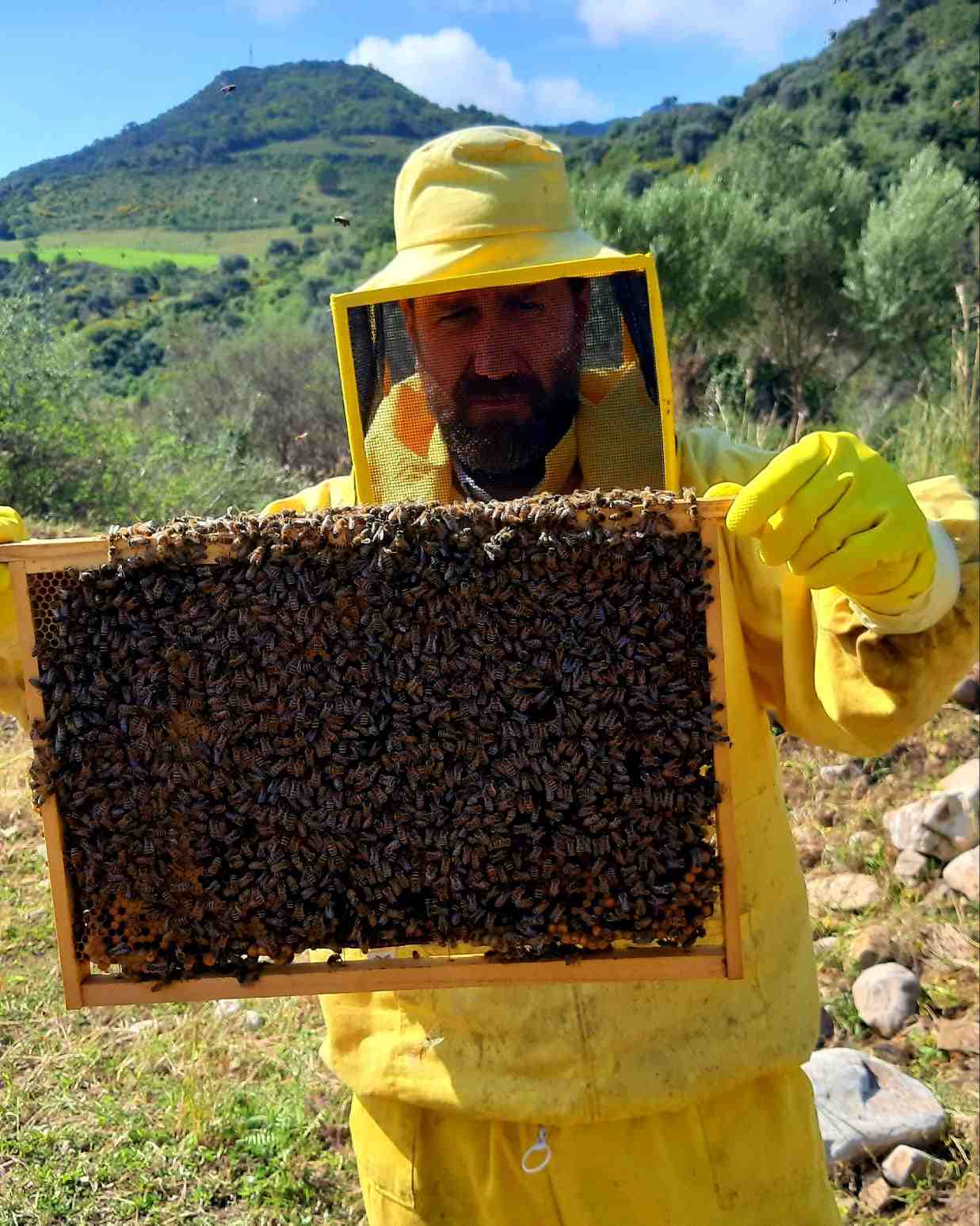 L’Ape Maurina, un progetto di sostenibilità e formazione a San Mauro Castelverde