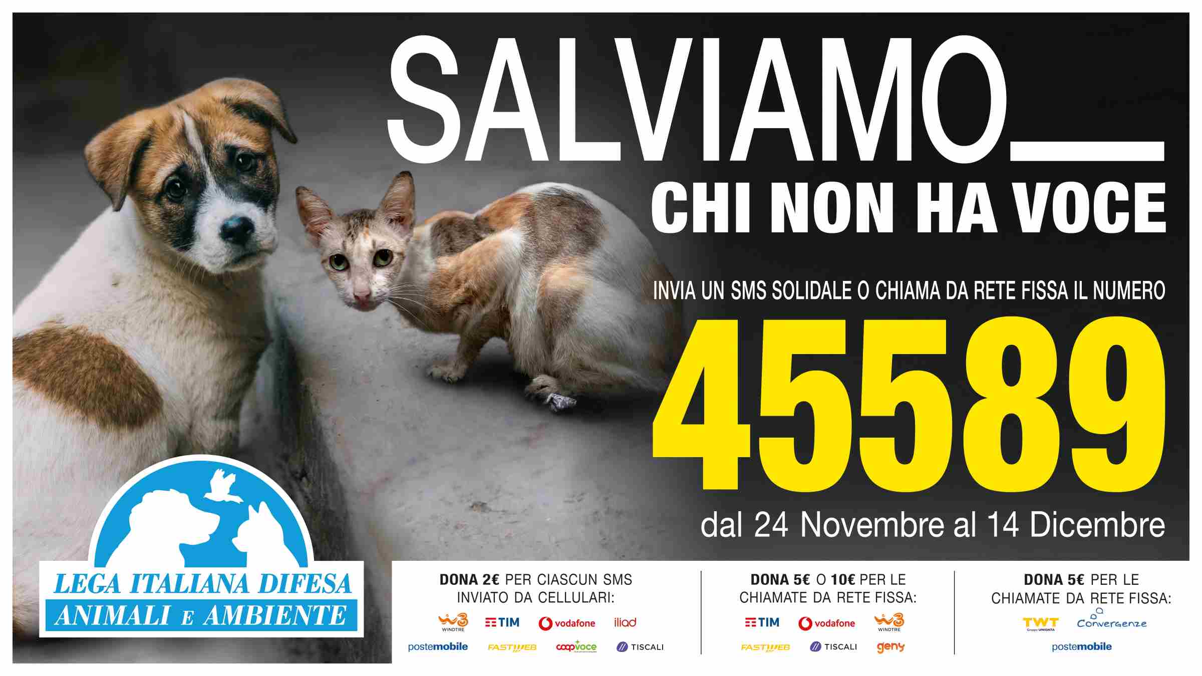 LEIDAA: dal 24/11 al 14/12 invia un sms solidale al 45589 e salva chi non ha voce, gli animali