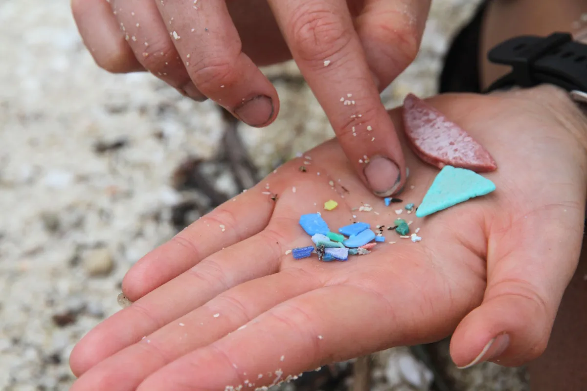 Plastica: una minaccia invisibile per l’uomo e il pianeta. Il WWF lancia l’allarme in occasione della Giornata Mondiale dell’Ambiente