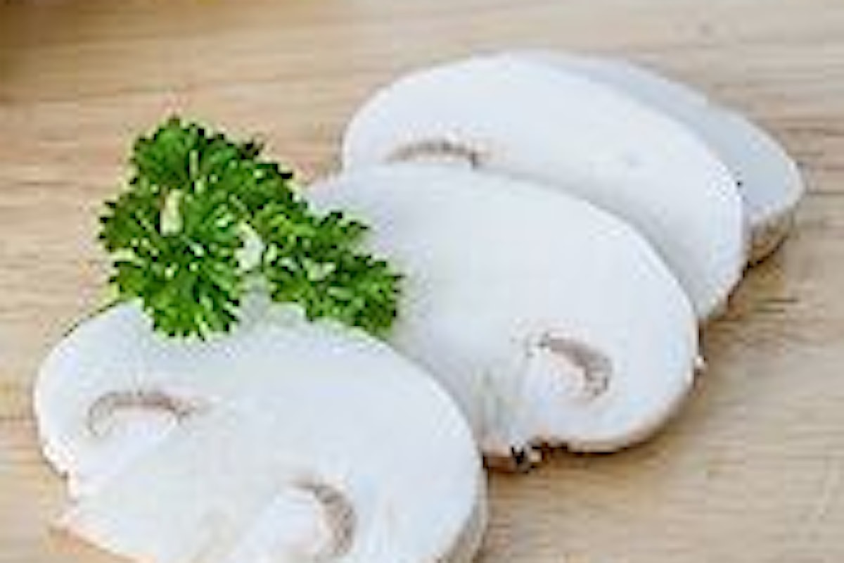 Funghi champignon proprietà e benefici