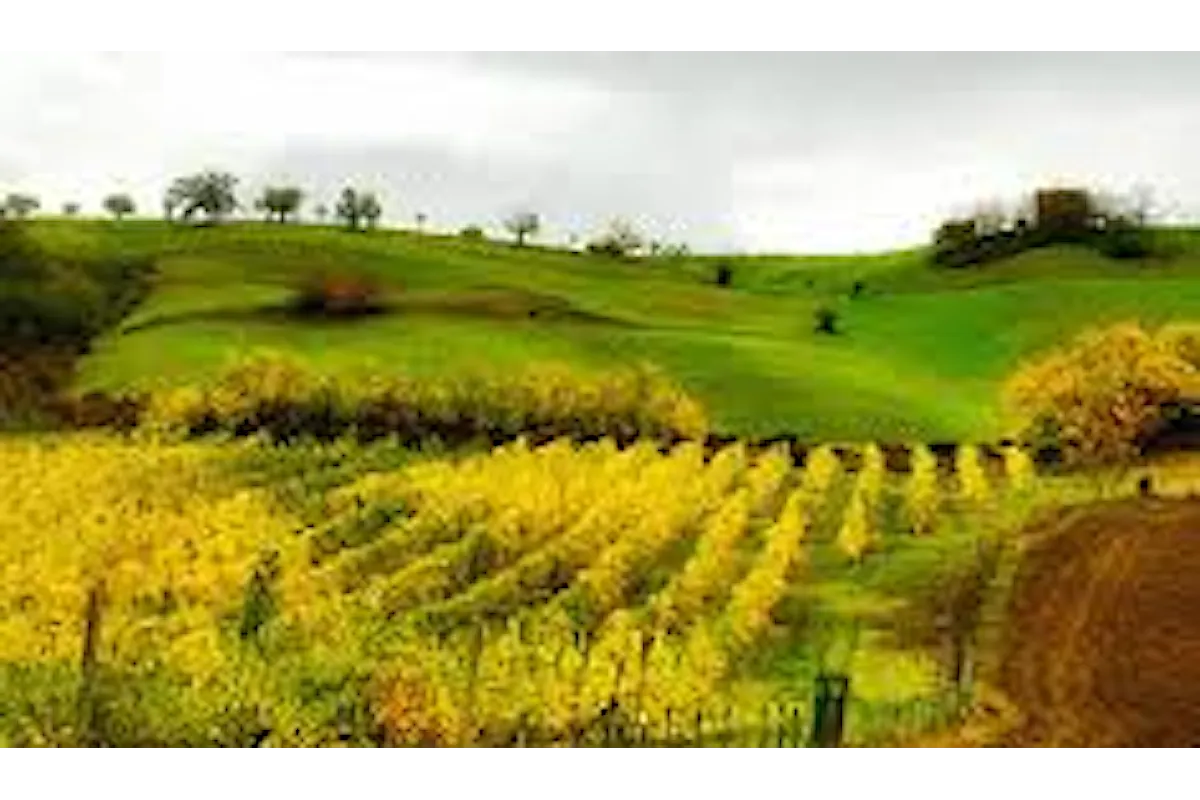Un team building slow: la fattoria