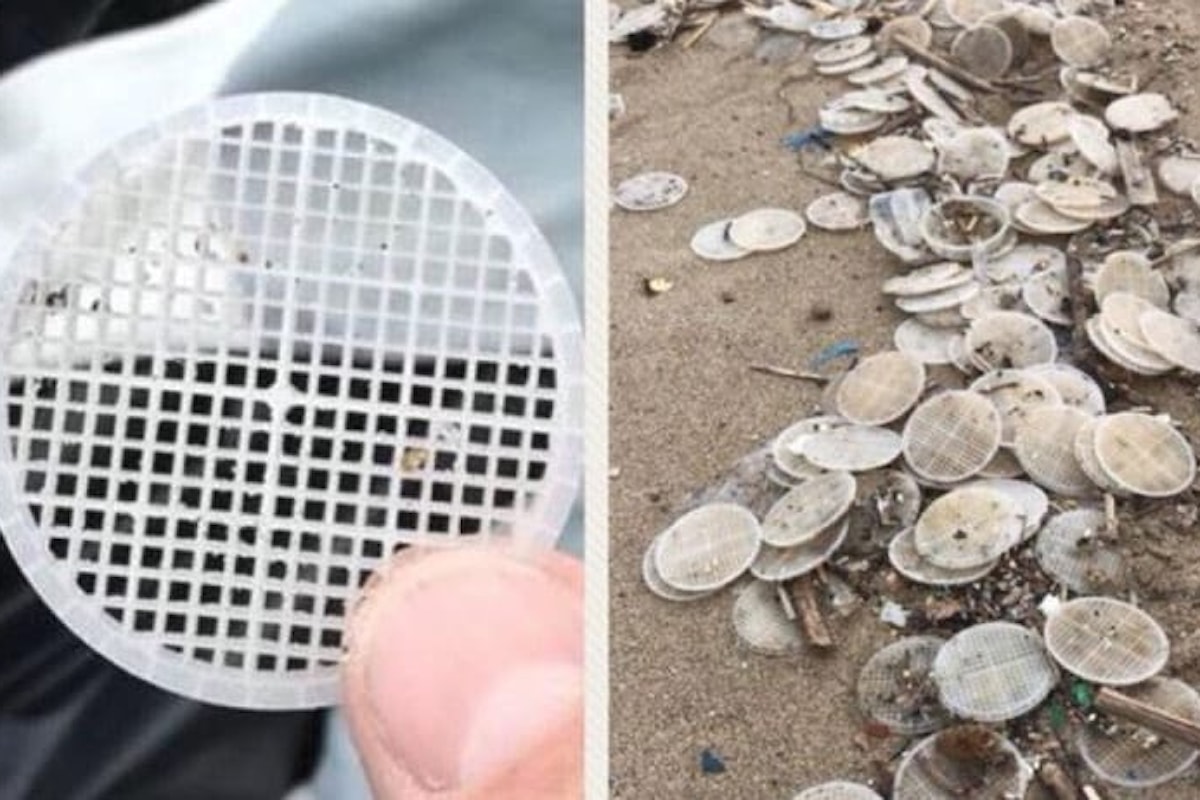 Il mistero dei dischetti di plastica: da Salerno alla Toscana