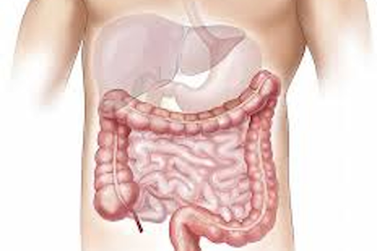 Rimedi naturali per la sindrome dell'intestino irritabile (IBS)