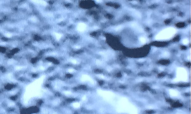 Dopo 12 anni Rosetta conclude la sua missione nello spazio