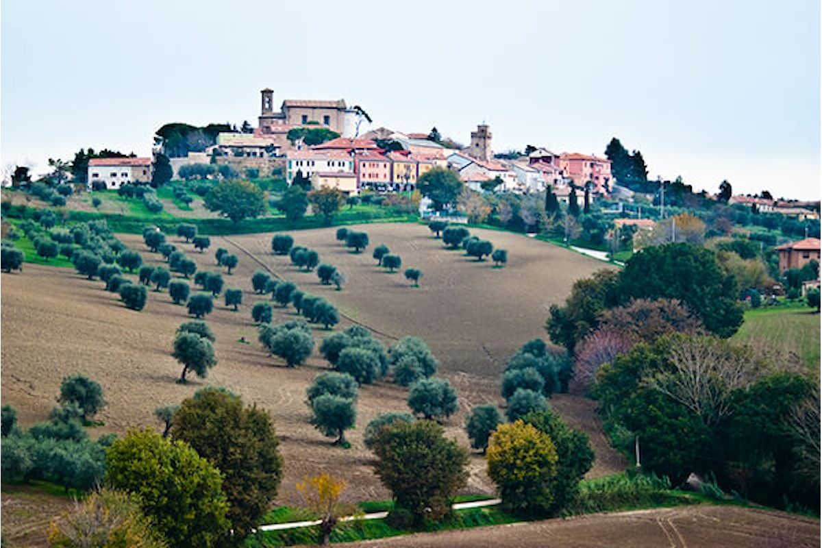 Abbiamo bisogno di Voi! Un appello dalle Marche ferite all'Italia intera