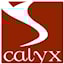 Calyx Associazione Ricreativa Culturale